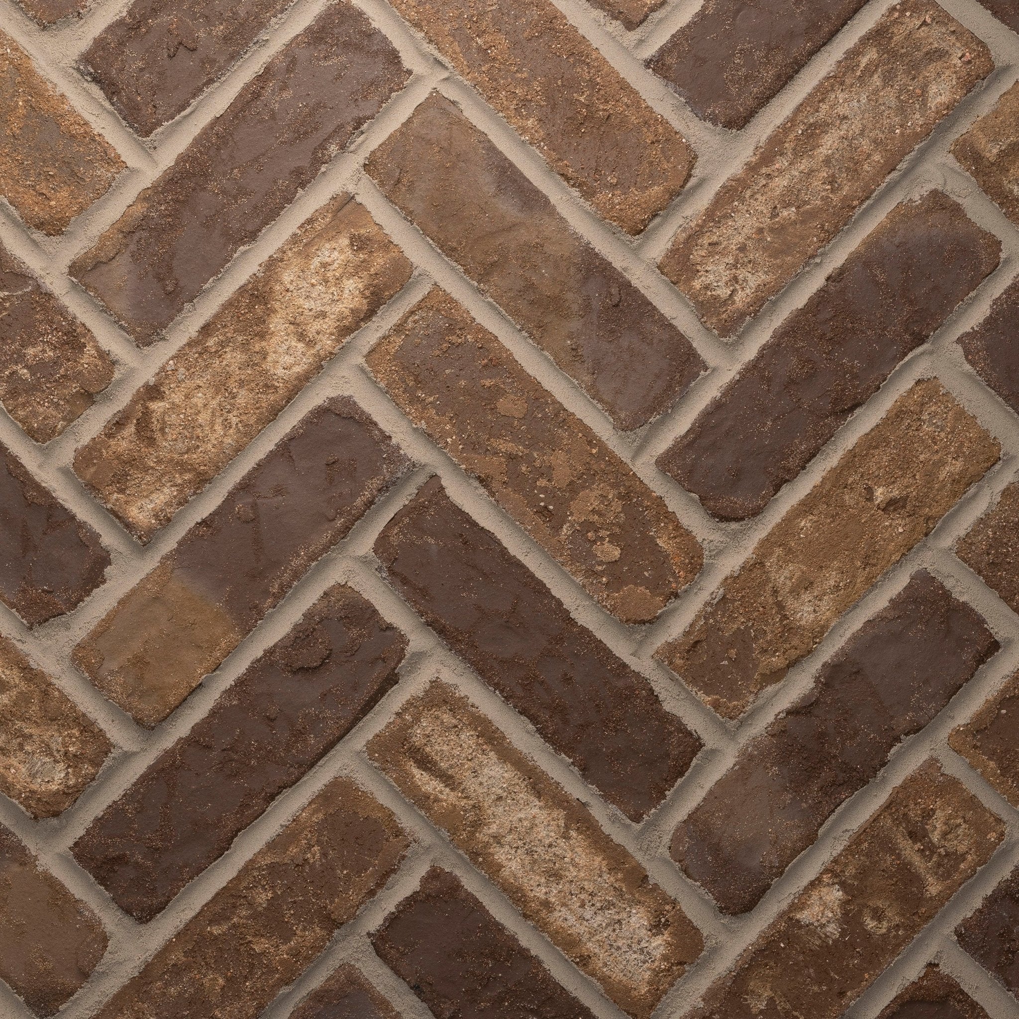 Chestnut - Image 3