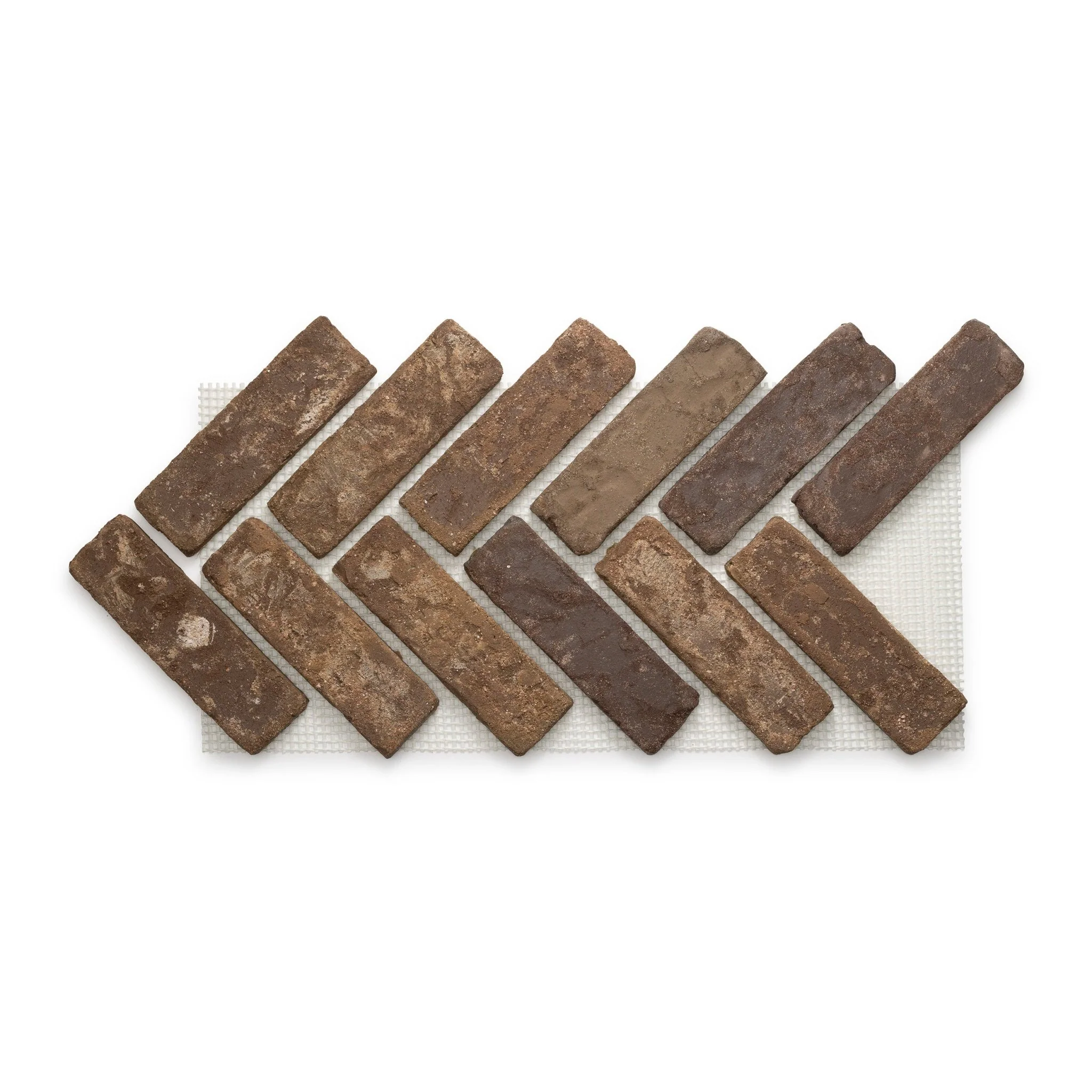 Chestnut - Image 7