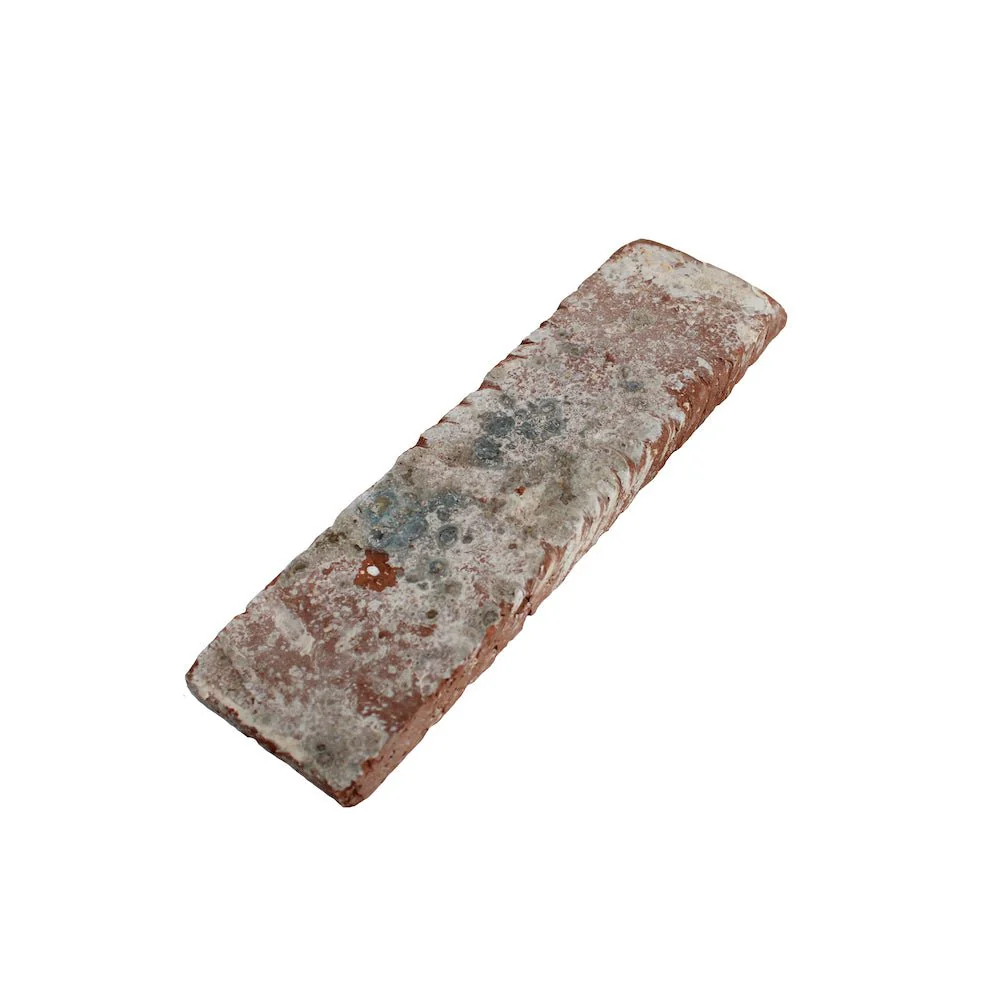 Seaside - Image 6